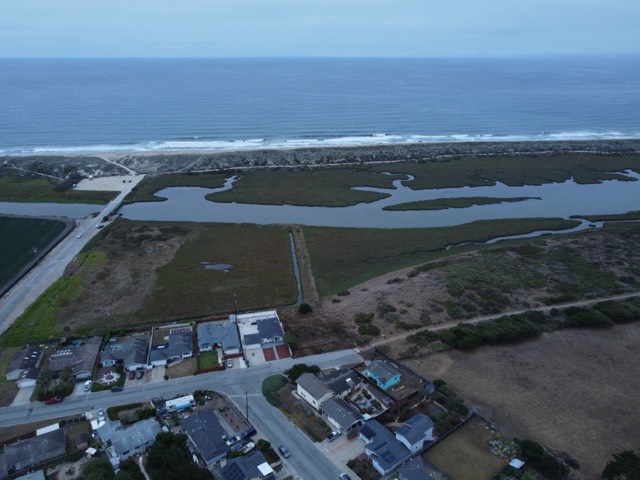 The home framed by coastal wetlands and the Pacific